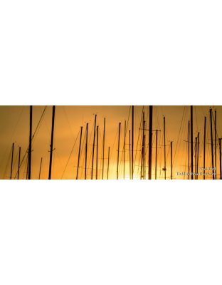 A Sailor's Morning - Panoramic 