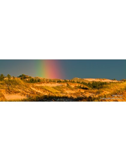 Rolling Gold - Panoramic
