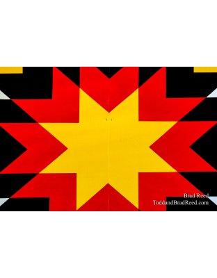 Brad’s Day 231 of 366 - August 18, 2020  