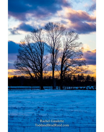 Rachel Gaudette’s Day 363 of 366 -  December 28, 2020