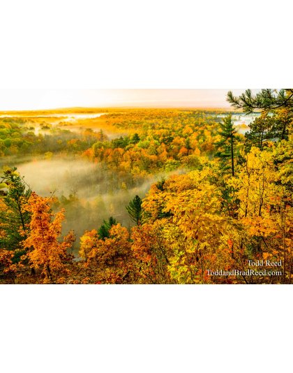 Endless Autumn