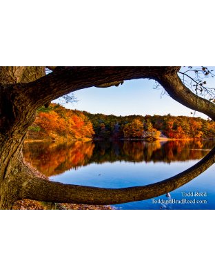 Framing Autumn