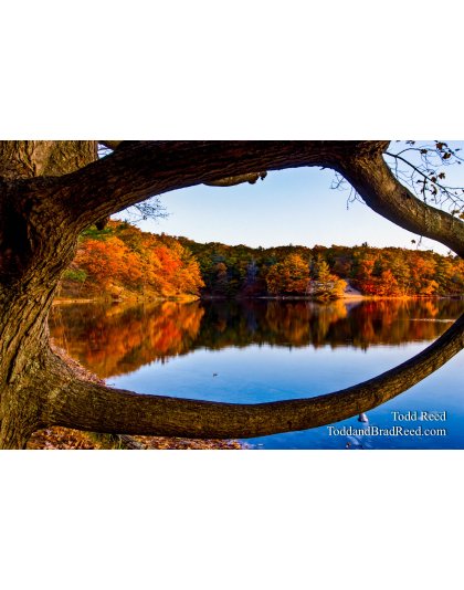Framing Autumn