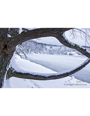 Framing Winter