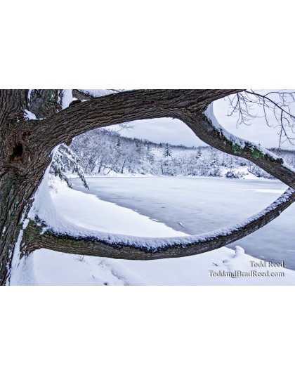 Framing Winter