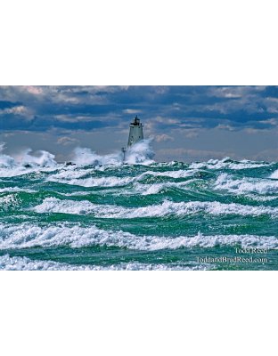 Gale Force