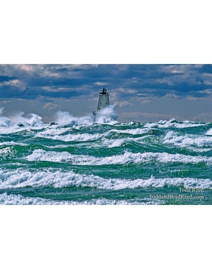 Gale Force