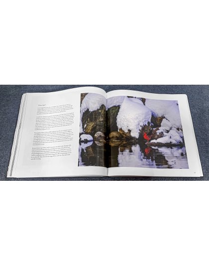 Limited Edition Package Todd Reed: 50 Years Seeing Michigan Through a Lens