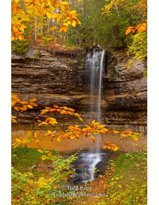 Golden Falls