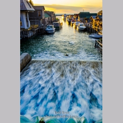Evening in Fish Town