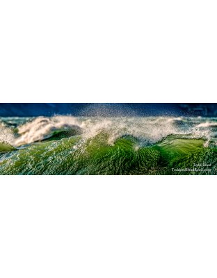 Michigan Madness - Panoramic