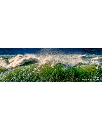 Michigan Madness - Panoramic