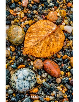 Michigan Rocks