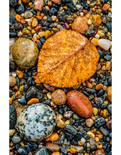Michigan Rocks