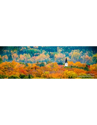 Arcadia Glory - Panoramic