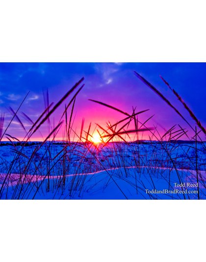 Burning Light