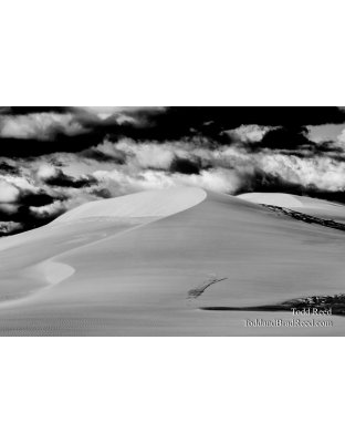 Sahara Sands