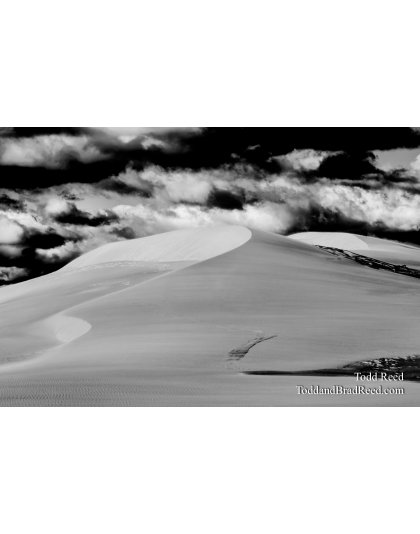 Sahara Sands