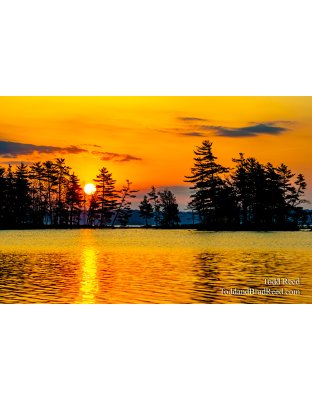 Lost Sunrise