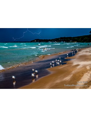 Electric Beach