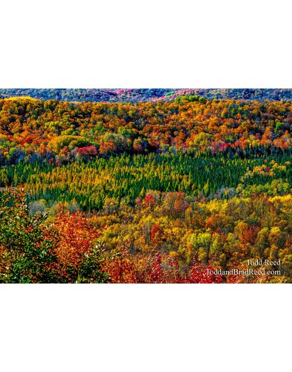 Deadman's Hill