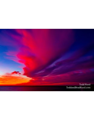 Pink Impression