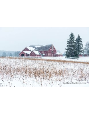 Winter at Cherry Hill Farm