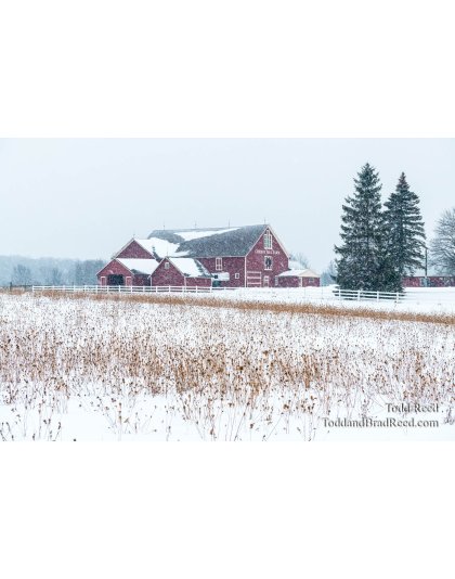 Winter at Cherry Hill Farm