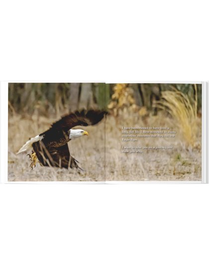 "They Call Me Eagle Eyes", a Picture Book for All Ages Sale