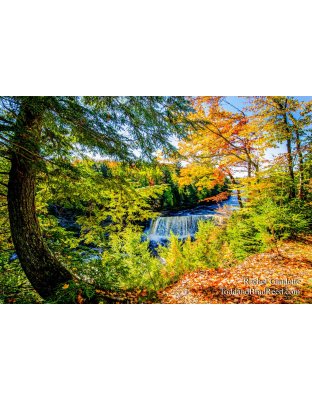 Fall in Michigan 
