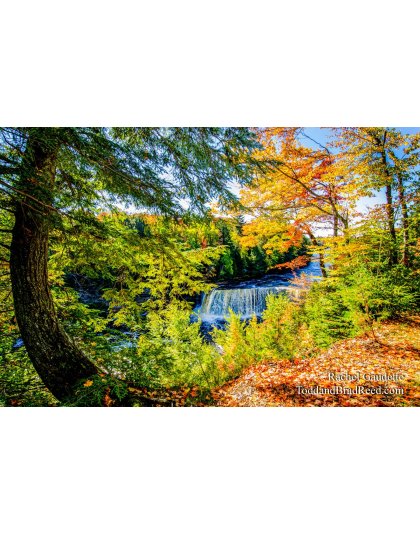 Fall in Michigan 