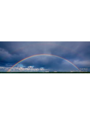 Double Your Luck-Panoramic