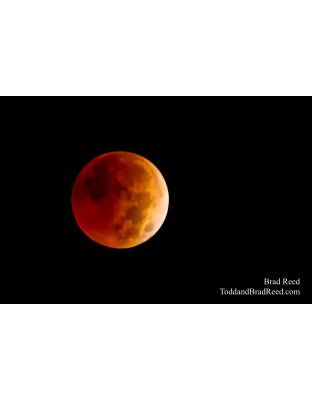 November Moon