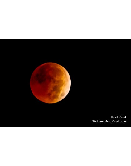 November Moon