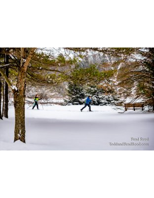 Sauble Ski trip