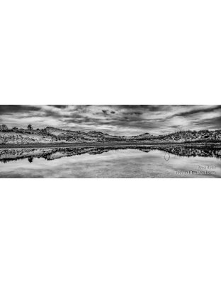 The Queens Reflection - Panoramic 