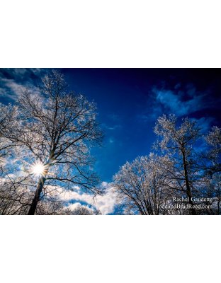 Weldon Creek Wonderland