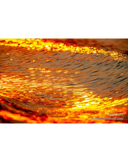 Fire Wake