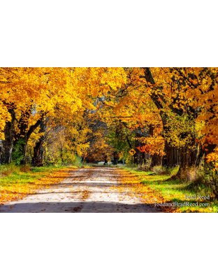 Conrad road