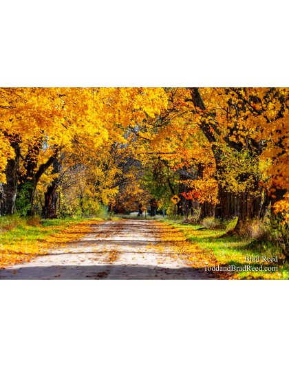 Conrad road