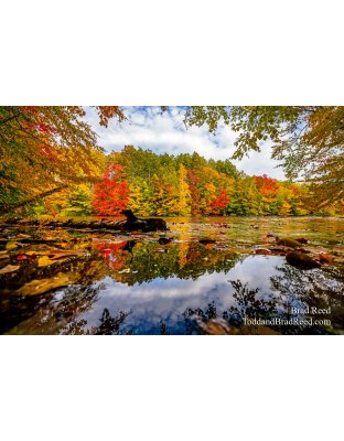 Layers of Color