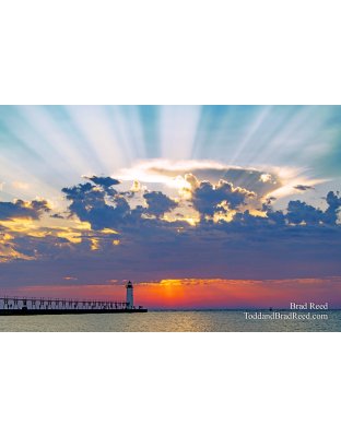 Manistee Beams