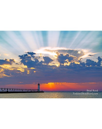 Manistee Beams