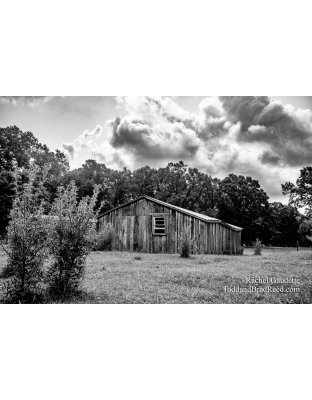 Free Stall Barn