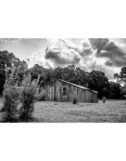 Free Stall Barn