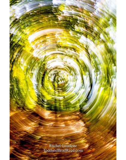 Forest Vertigo
