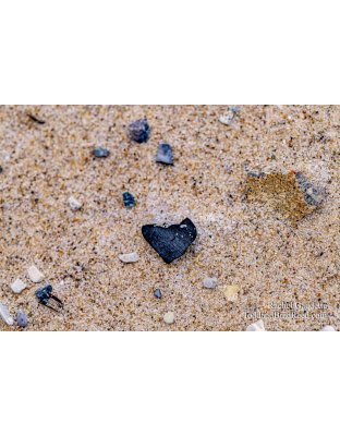 Love to Rock