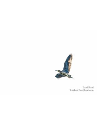 Florida Flybye
