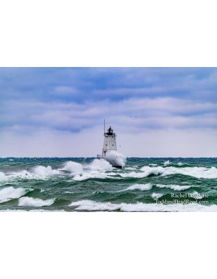 Waves of Time