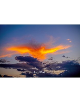 Golden Eagle Sky